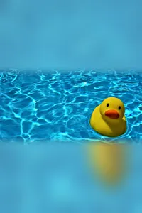 Sarı Klasik Banyo Ördeği