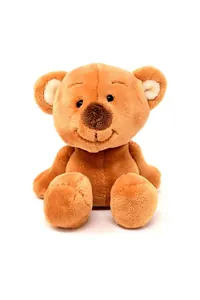 Turuncu Gülümseyen Peluş Ayıcık